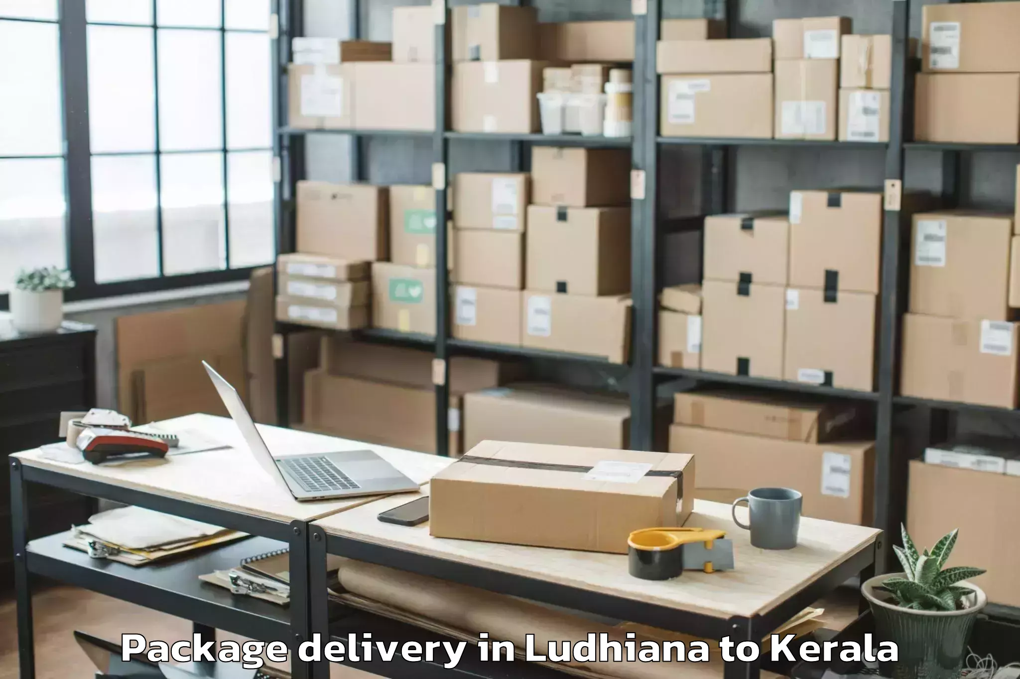 Book Ludhiana to Central University Of Kerala K Package Delivery